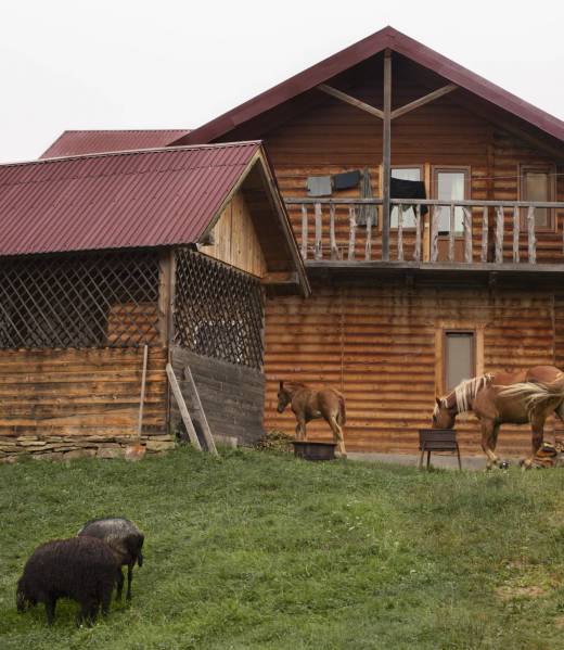 rural-house-surroundings-daylight